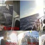 Flotilla in zona ad alto rischio: Nella notte avvicinati da navi non identificate