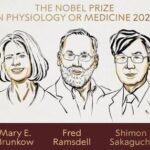 Nobel per la Medicina a Brunkow, Ramsdell e Sakaguchi per scoperte su sistema immunitario