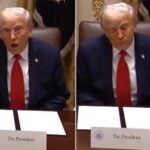 Trump e lo spavento alla Casa Bianca, cameraman urta specchio antico: Stai attento!