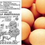 Uova ritirate dal mercato per rischio salmonella: il lotto