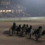 All'ippodromo Snai San Siro di Milano la grande festa del trotto