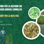 Ismea Copernicus Academy, al via Open school Lazio su osservazione Terra