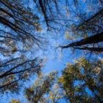 L'estate di San Martino non delude, stop alla pioggia arrivano beltempo e temperature miti