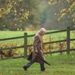 Non solo la vasca di letame, il parco di Sandringham diventa rischioso per i cani