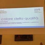 Olio, Inc: Nuove evidenze scientifiche per preservare qualità evo in bottiglia