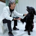 Perché i cani danno la zampa? Ecco come capire le richieste di Fido