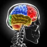 Sclerosi multipla, Bandiera (Aism): Caregiver fondamentali ma ancora invisibili