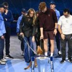 Sinner, la famiglia si... 'allarga'. Anche il cane Snoopy festeggia il trionfo alle Atp Finals