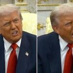 Trump, risposte di fuoco alle giornaliste su Epstein tra zitta maialina e sei pessima