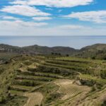 Vino: la Calabria si racconta a Roma, un anno di successi e un 2026 di nuova promozione