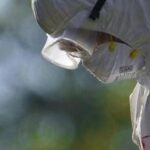 Aviaria, l'allarme dell'Ecdc: In Europa più rischi per l'uomo, cosa sta succedendo