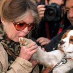 Brigitte Bardot, da diva del cinema a paladina degli animali