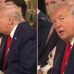E il Nobel..., Trump e il microfono acceso: il fuorionda con Netanyahu
