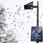 Germania, Afd primo partito: il sondaggio premia l'estrema destra