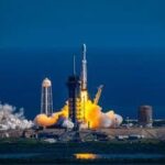 Il segreto per i viaggi nello spazio? I funghi di Chernobyl: la scoperta