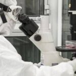 La scoperta per ricaricare le cellule e combattere l'invecchiamento
