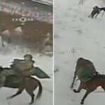 Soldati russi a cavallo, il drone ucraino colpisce