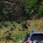 Spunta altro caso di famiglia nel bosco, bimbi allontanati dai genitori da un mese e mezzo