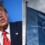 Usa, ultimatum all'Europa: entro 2027 si faccia carico capacità difesa Nato