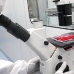 Cellule Car-T e malattie autoimmuni, studio del Bambino Gesù conferma l'efficacia