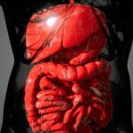 Malattia di Crohn, solo 1 paziente su 3 riceve supporto nutrizionale