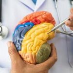 Malattie neuromuscolari e miastenia grave, nasce academyX per l'alta formazione