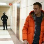 Navalny ucciso con tossina di una rana: il veleno prodotto dallo stesso laboratorio del primo avvele...