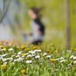 Qualche pioggia, ma continua il caldo: inverno finito in Italia