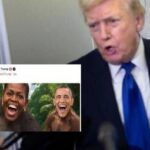 Video razzista con gli Obama, Trump condanna ma non si scusa: Non l'avevo visto