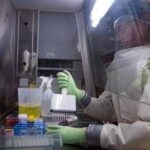 Virus Nipah, studio italiano: sorveglianza in tempo reale per prevenire nuovi focolai