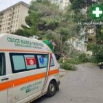 Maltempo sull'Italia, donna ferita da un ramo caduto a Genova. Grandine e pioggia a Roma, traffico i...