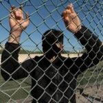Minori, Save the Children: Il 13,4% dei ragazzi ha assistito a scene di violenza che venivano filma...