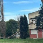 Paura a Roma, cade albero e sfonda finestra del liceo Orazio