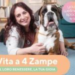Qvc Italia, debutta nuova categoria per care con uno show su amici a quattro zampe