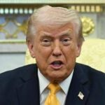 Trump, attacco frontale alla Nato: Codardi, ce ne ricorderemo