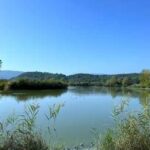 World Water Day, Sanpellegrino lancia Fonte