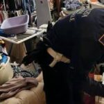 Roma, neonato tra droga e rifiuti: madre denunciata, arrestato il compagno