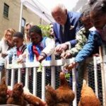 Reali e pollai, Carlo e Meghan: I know my chickens