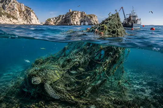 Recupero reti fantasma alle Isole Tremiti, progetto WWF Ghost Gear in evidenza
